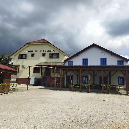 Vinny Sklep A Penzion U Vinohradu Velké Bílovice Exterior foto